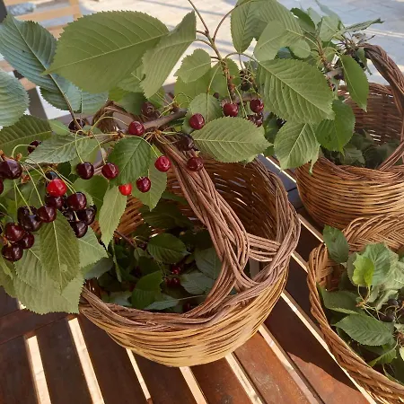 B&B La Casa Dalle Finestre Blu 3*