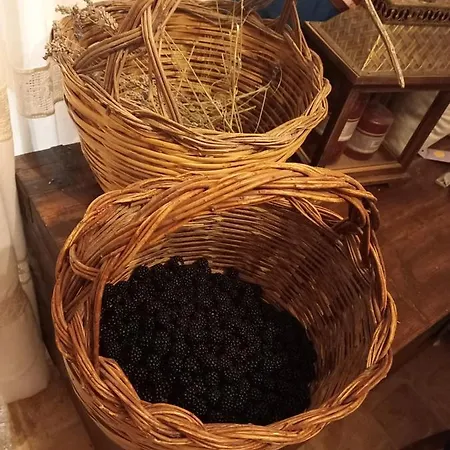 La Casa Dalle Finestre Blu Bed & Breakfast Abbateggio