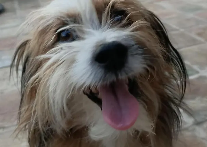 La Casa Dalle Finestre Blu 3*