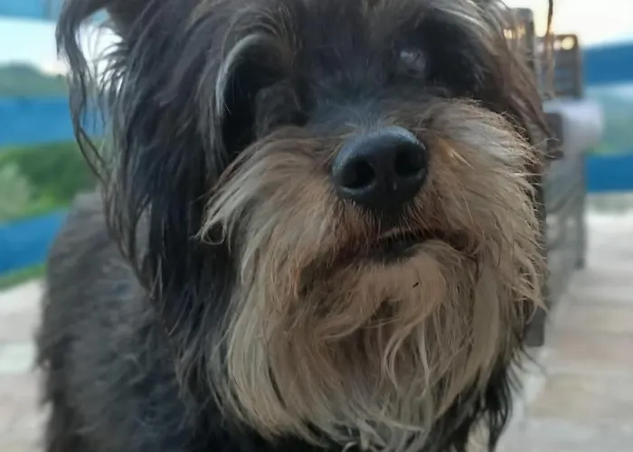 La Casa Dalle Finestre Blu 3* Abbateggio