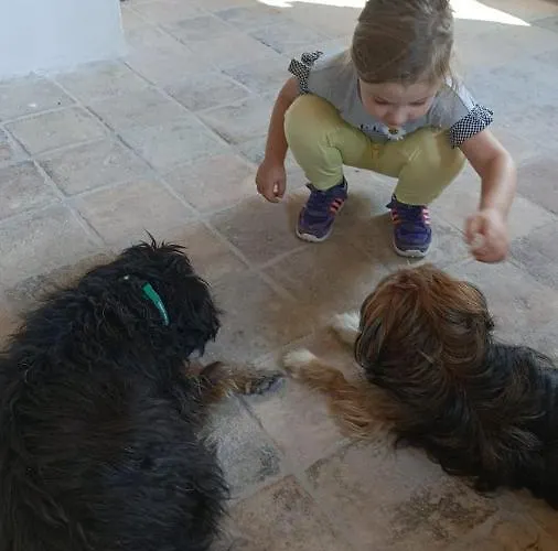 La Casa Dalle Finestre Blu 3*