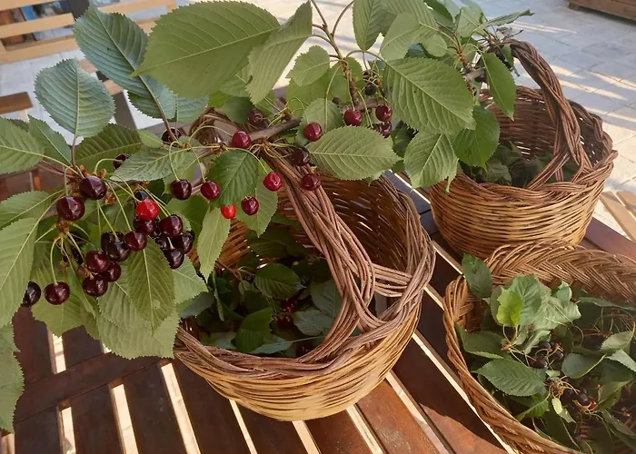 Bed & Breakfast La Casa Dalle Finestre Blu 3*