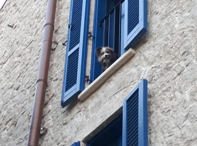 La Casa Dalle Finestre Blu