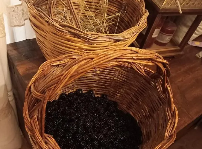 La Casa Dalle Finestre Blu Bed and Breakfast Abbateggio